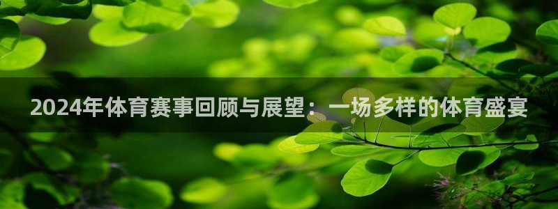 2024年体育赛事回顾与展望：一场多样的体育盛宴