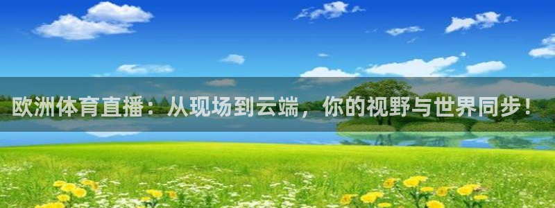 欧洲体育直播：从现场到云端，你的视野与世界同步！