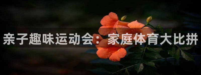 亲子趣味运动会：家庭体育大比拼