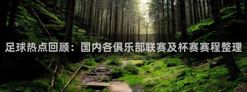 雷速体育官网下载app：足球热点回顾：国内各俱乐部联赛及杯赛赛程整理