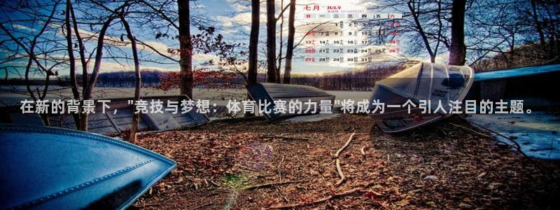 雷速体育网页版入口：在新的背景下，\