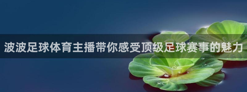 雷速体育足球比分官网：波波足球体育主播带